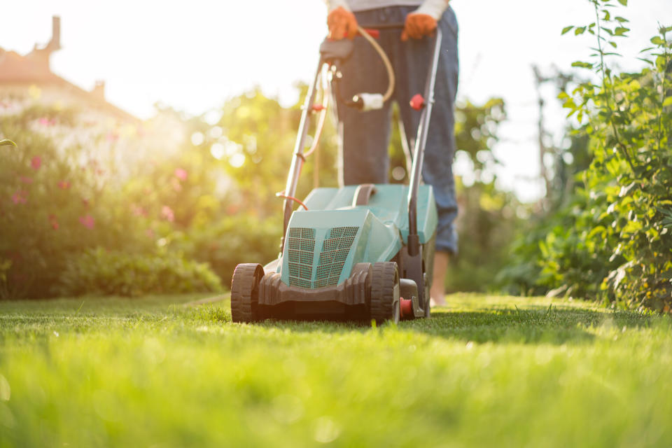 Mowing the lawn