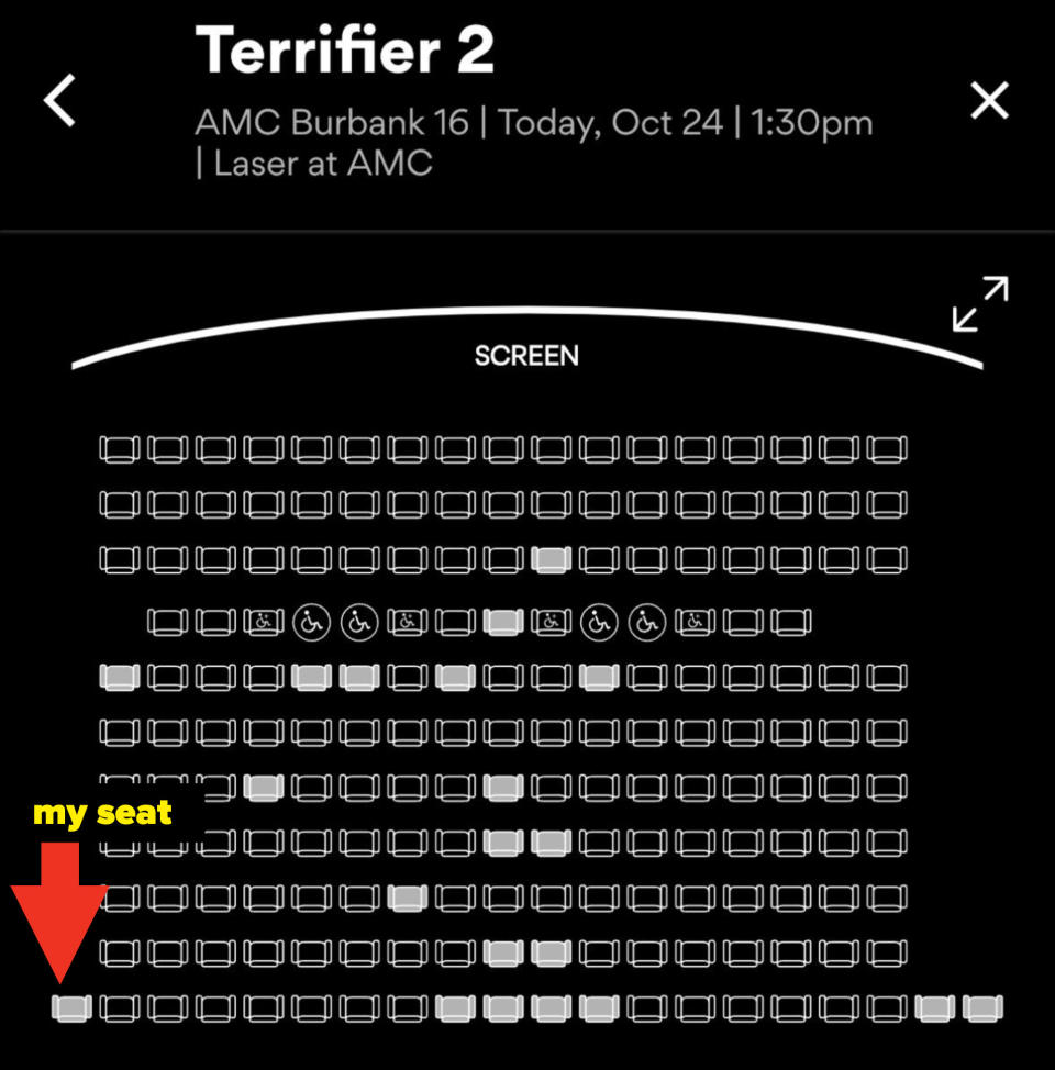 I'm actually glad to have company and I'll let y'all know if any of these people puke or leave. (Note how many individually-purchased seats there are, proving that I'm not the only one with zero friends willing to join me in watching.)