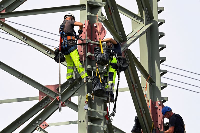 FILE PHOTO: Specialists work at high voltage power lines in Germany
