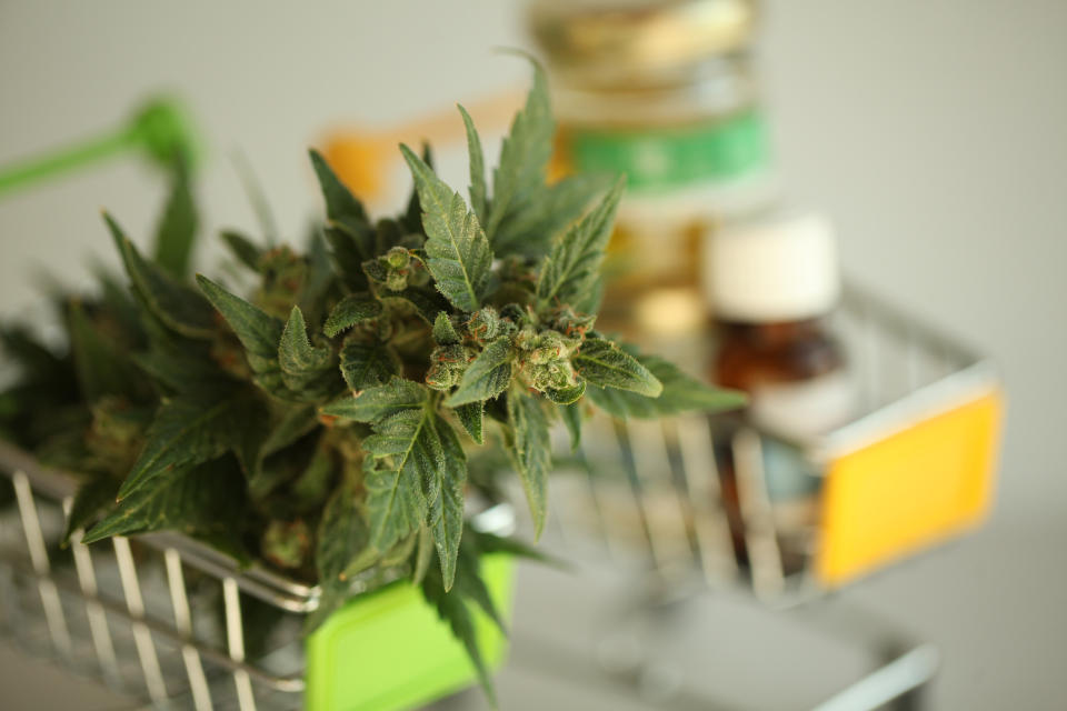 Two miniature shopping carts, with one containing a cannabis flower, and the other holding vials of cannabis oil.