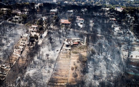 An aerial view shows burnt houses and trees following a wildfire in the village of Mati - Credit: REUTERS/EUROKINISSI