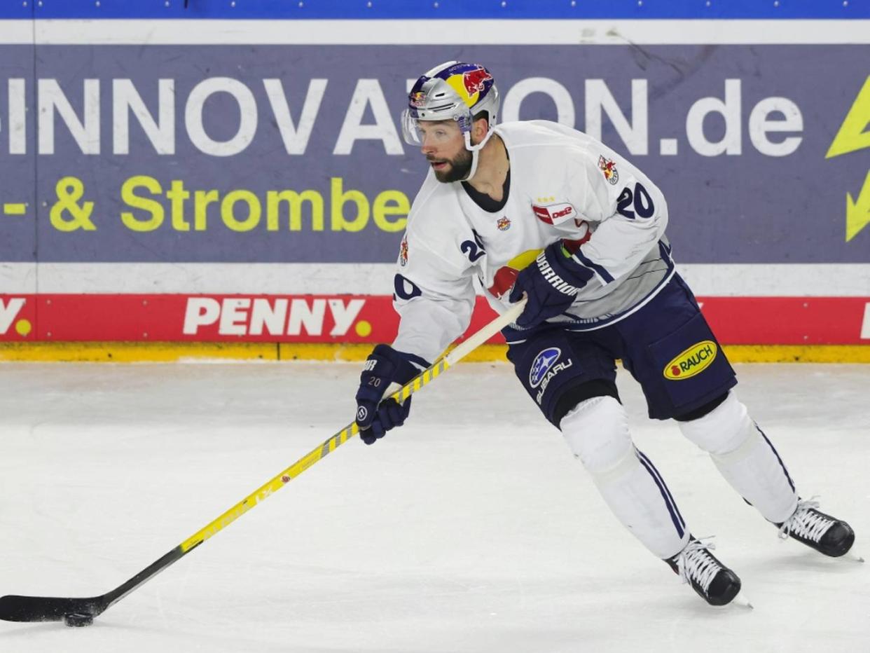 Bullen und Grizzlys mit Frustbewältigung