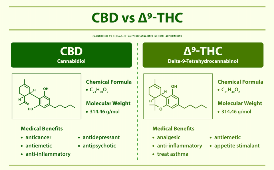 Se cree que el THC delta-9 es el principal cannabinoide que confiere a la marihuana sus efectos psicoactivos. Tanto el CBD como la marihuana han demostrado en estudios ser beneficiosos para diversos usos medicinales. <a href="https://www.gettyimages.com/detail/illustration/vs-9-thc-cannabidiol-vs-delta-9-royalty-free-illustration/1305259512" rel="nofollow noopener" target="_blank" data-ylk="slk:About time / iStock via Getty Images Plus;elm:context_link;itc:0;sec:content-canvas" class="link ">About time / iStock via Getty Images Plus</a>