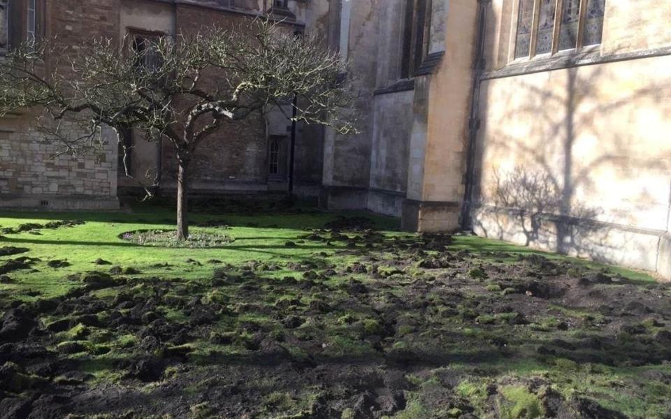 The lawn of Trinity College is seen after being dug up by Extinction Rebellion climate protesters, in Cambridge - Reuters