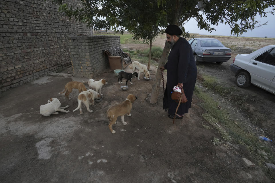 Iranian cleric Sayed Mahdi Tabatabaei looks at stray dogs outside his shelter as they are being fed, outside the city of Qom, 80 miles (125 kilometers) south of the capital Tehran, Iran, Sunday, May 21, 2023. It's rare these days for a turbaned cleric in Iran to attract a large following of adoring young fans on Instagram, but Tabatabaei has done it by rescuing street dogs in defiance of a local taboo. (AP Photo/Vahid Salemi)