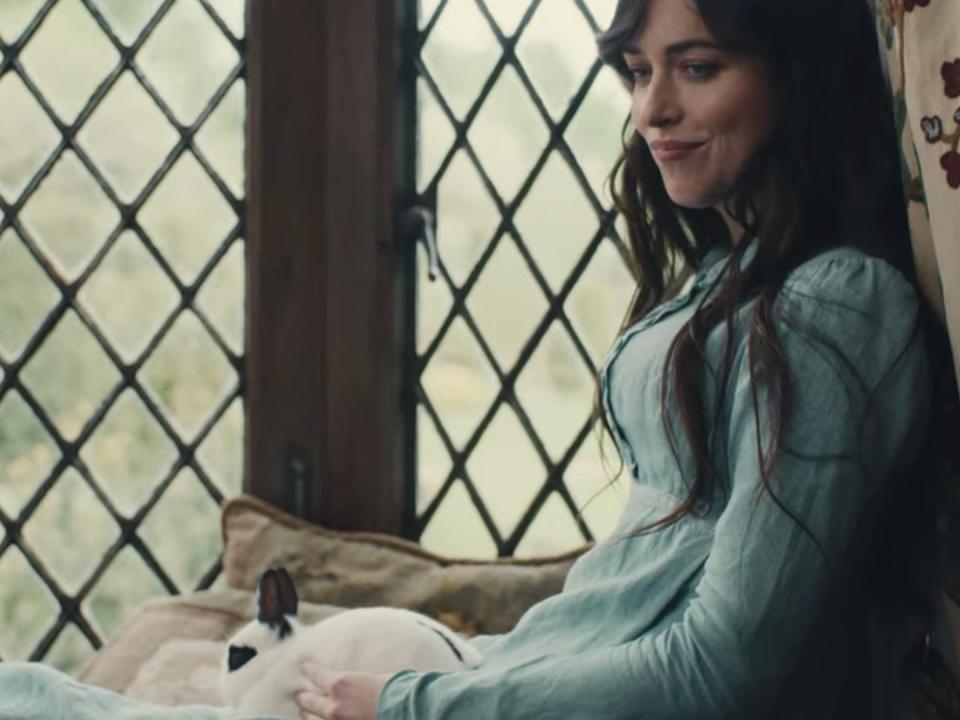 anne with rabbit on her lap in persuasion