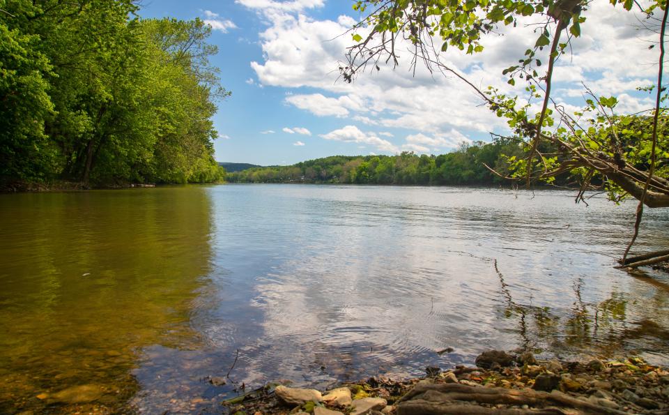 View of Lake Anna in Virginia.