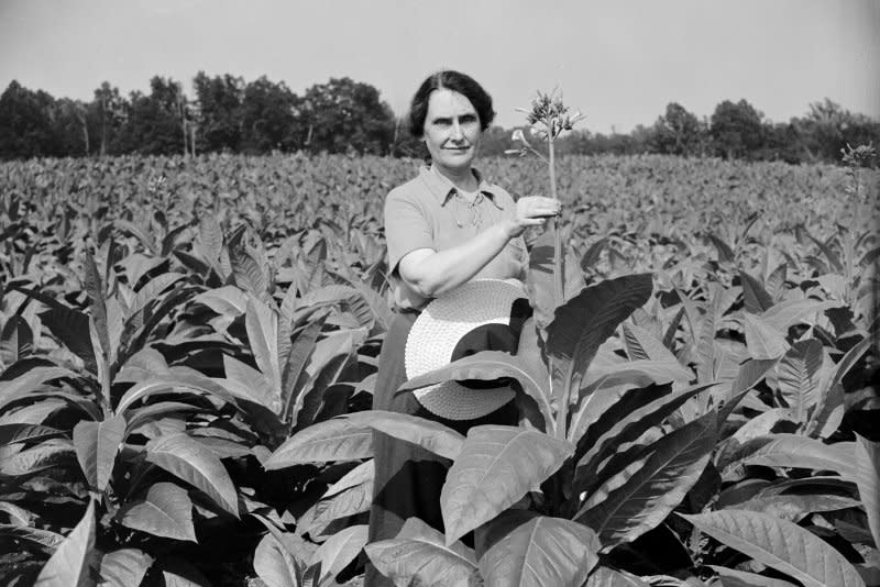 On January 5, 1925, Nellie Tayloe Ross of Wyoming, pictured in 1938, was sworn in as the first woman governor in the United States. File Photo by Library of Congress