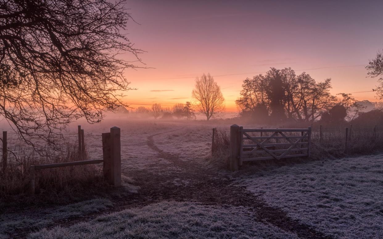 Gardening in January: what to plant and tidy in your garden this month -  George W Johnson