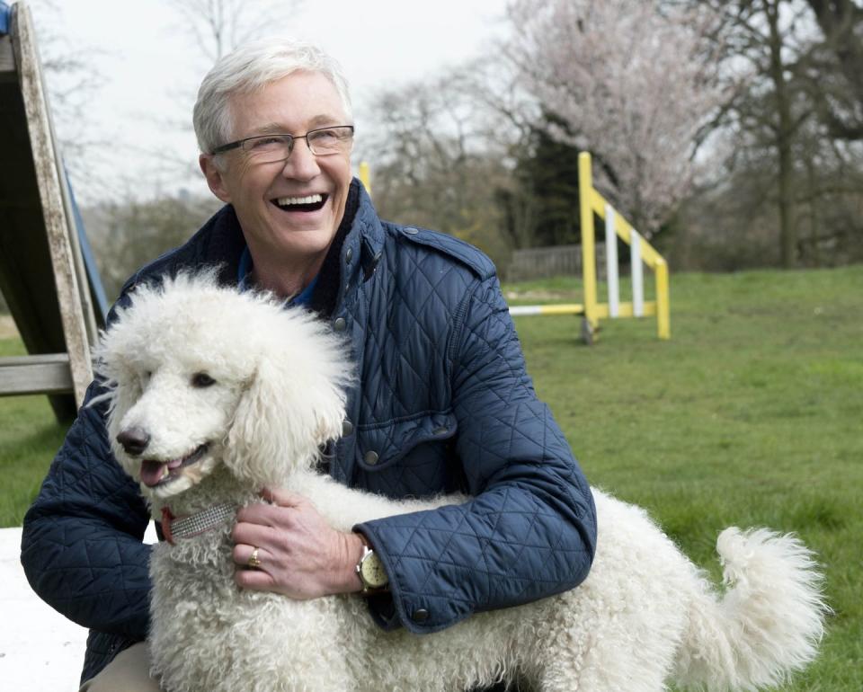 paul o'grady for the love of dogs