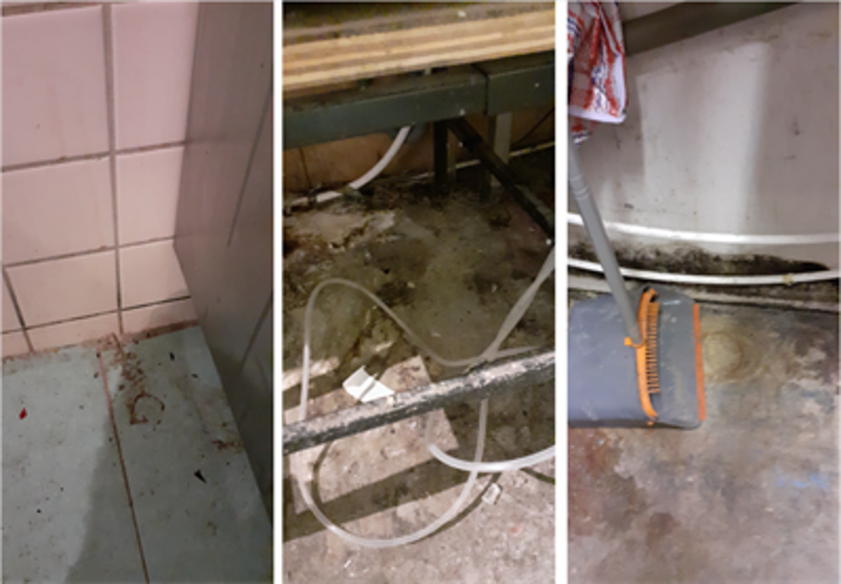 The bar was found to have a dirty kitchen with mouse droppings  (Tower Hamlets Council)