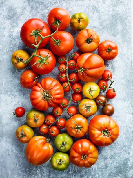 <p>Tomatoes contain antioxidants such as vitamin C and carotenoids such as lycopene. Lycopene is associated with a lower risk of heart disease and certain cancers. Top toast with Greek yogurt, sliced tomatoes and a sprinkle of lemon zest and mint for a fresh-tasting snack. </p>