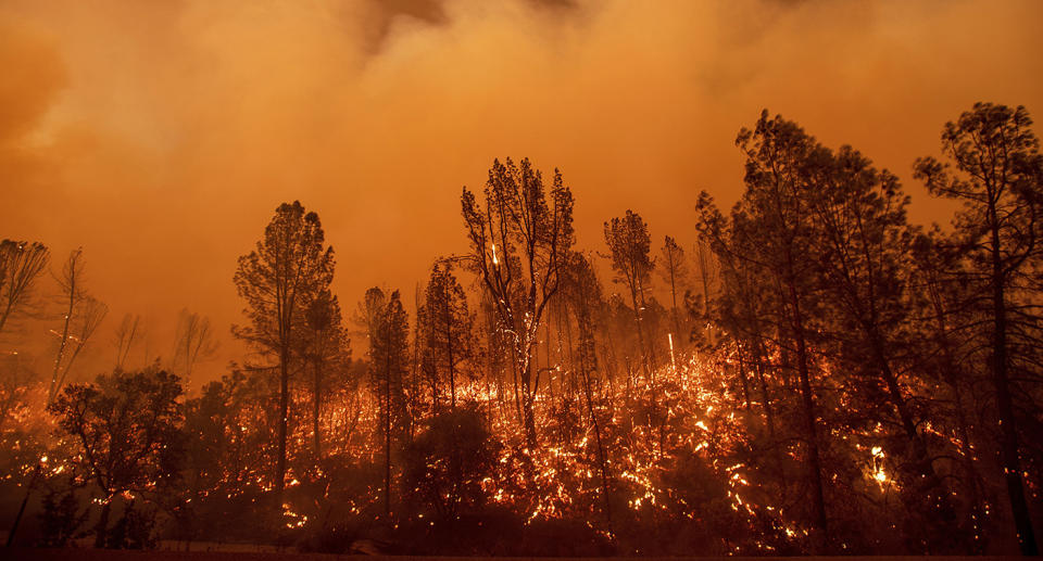 The Carr Fire is a Californian wild fire that is burning west of Redding, California (pictured is the Carr Fire burning along Highway 299 in Redding, California on Thursday, July 26, 2018)