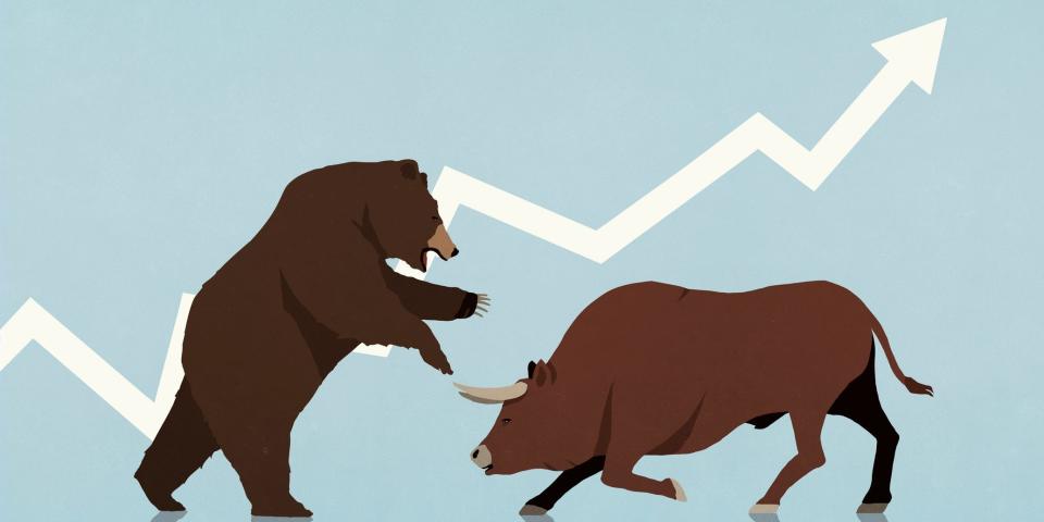 bull bear market