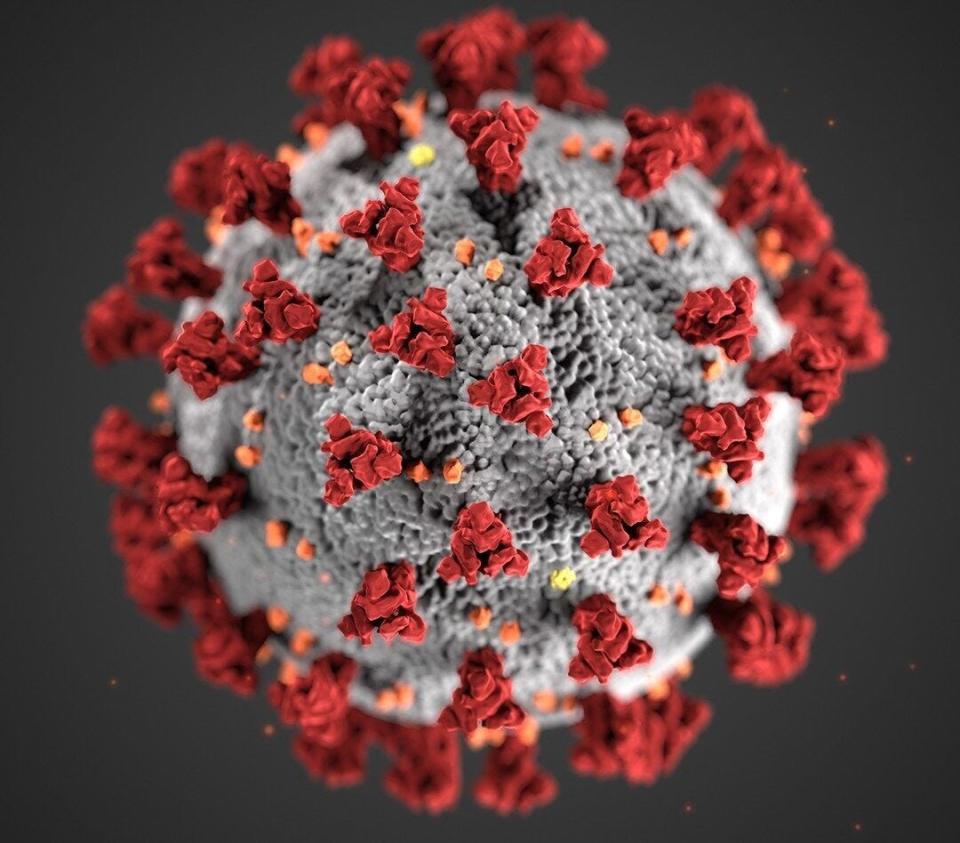 Illustration of COVID-19 virus.