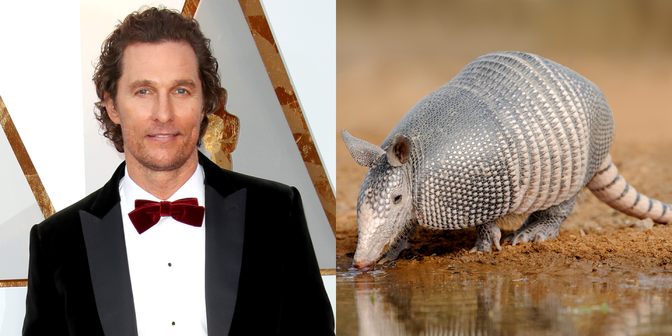 Matthew McConaughey, Armadillo Murderer