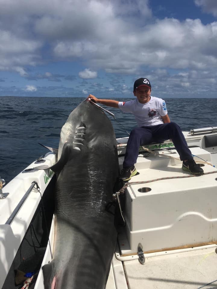 While it isn't offical just yet, the shark weighs in two kilograms heavier than the current record holder. Source: Port Hacking Game Fishing Club - Facebook.