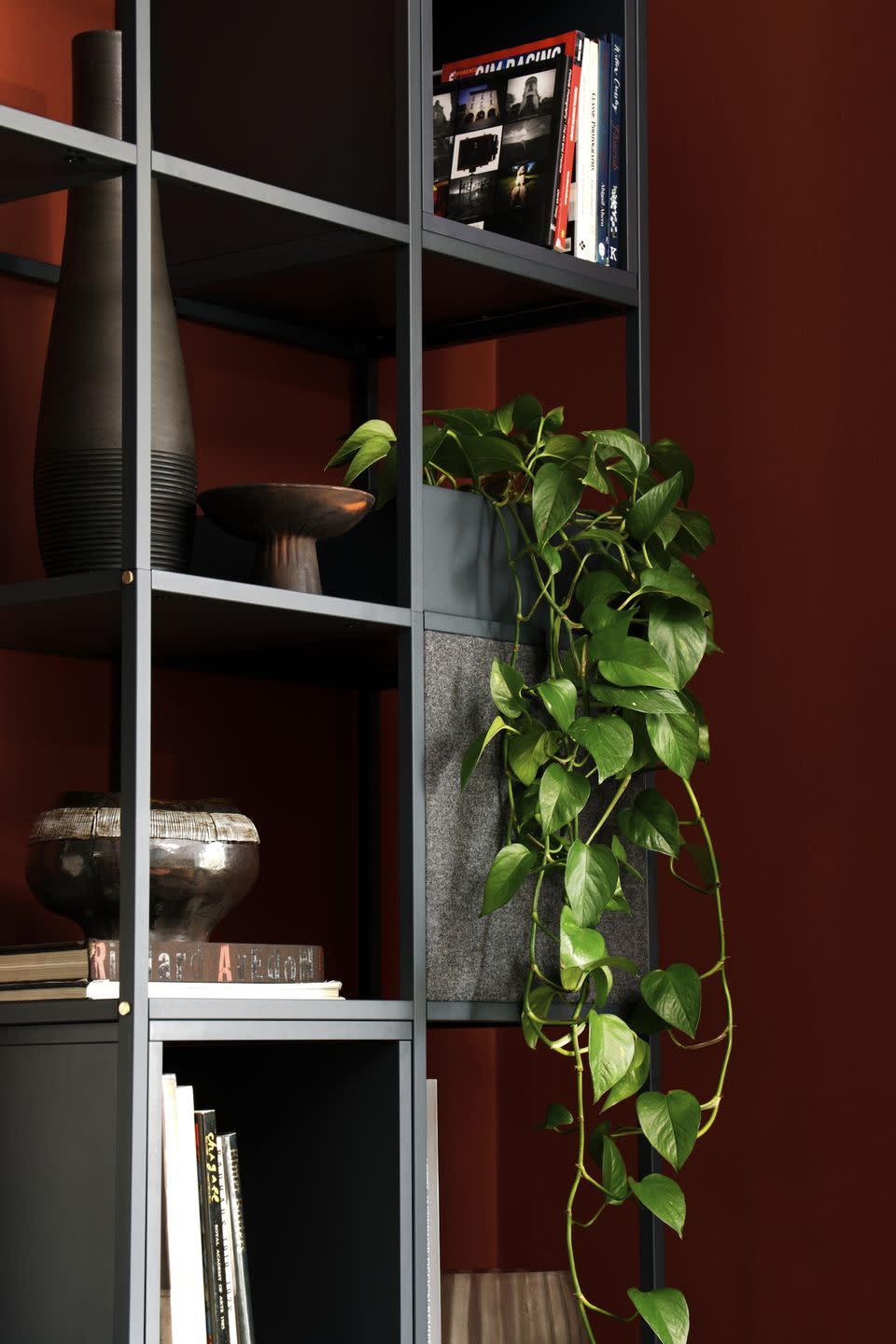 a plant in a room, modular tv unit with trailing houseplant