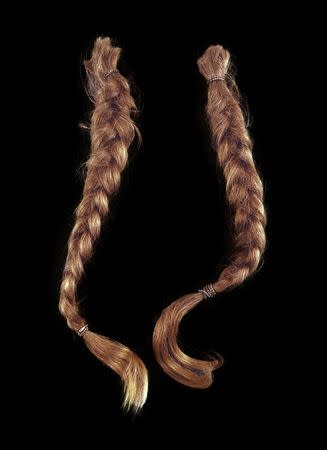 Singer Willie Nelson's braids are pictured in this undated handout photo obtained by Reuters on August 21, 2014. REUTERS/Guernsey's/Handout via Reuters