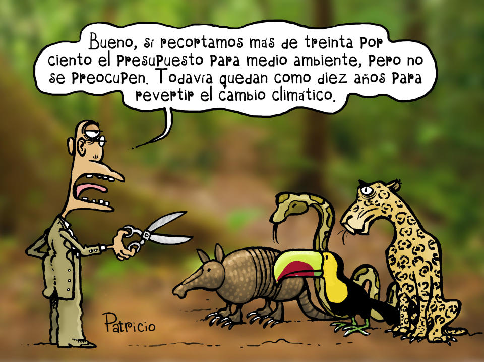 <p>Twitter: @patriciomonero / Facebook: Patricio Monero </p>