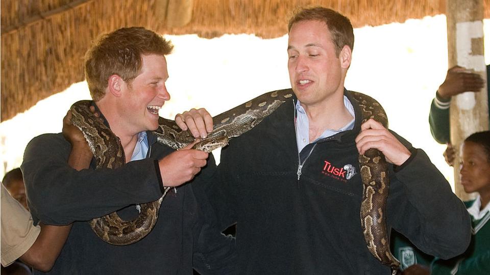 Prince William and Prince Harry joke as they pose with an African rock python snake in Botswana