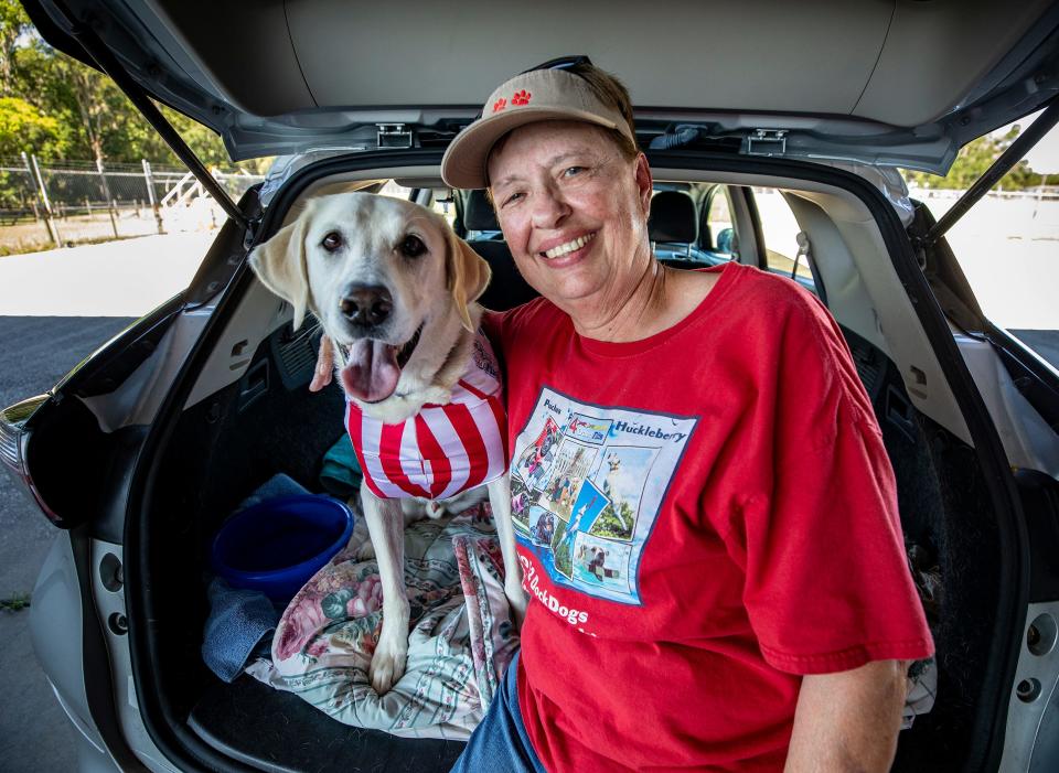 Nancy Akin poses with Huckleberry, her yellow Labrador retriever, at the John K9 training center near Plant City. Huckleberry started competing in Dock Dogs events just after his first birthday.