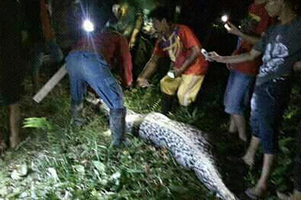 Search: police immediately suspected the missing farmer was in the belly of the bloated python: AFP/Getty Images