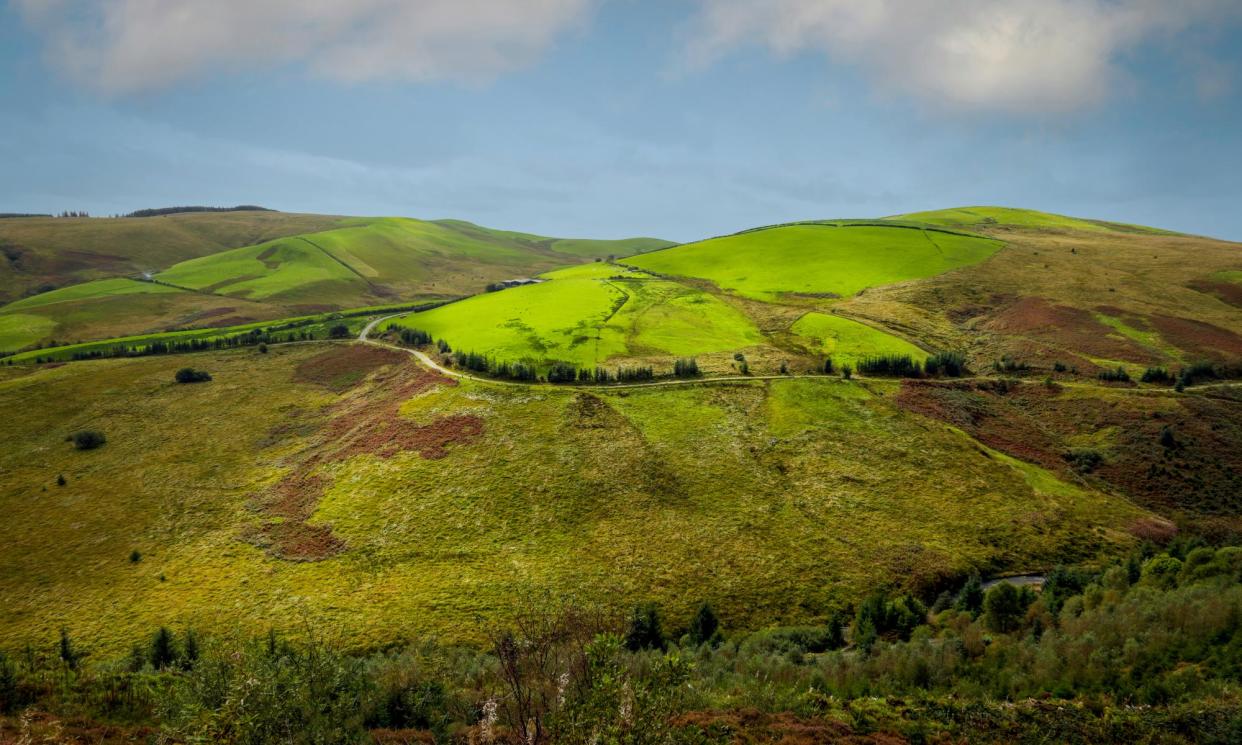 <span>The lush green fields of the Cambrian Mountain</span><span>Photograph: leighcol/Getty Images</span>