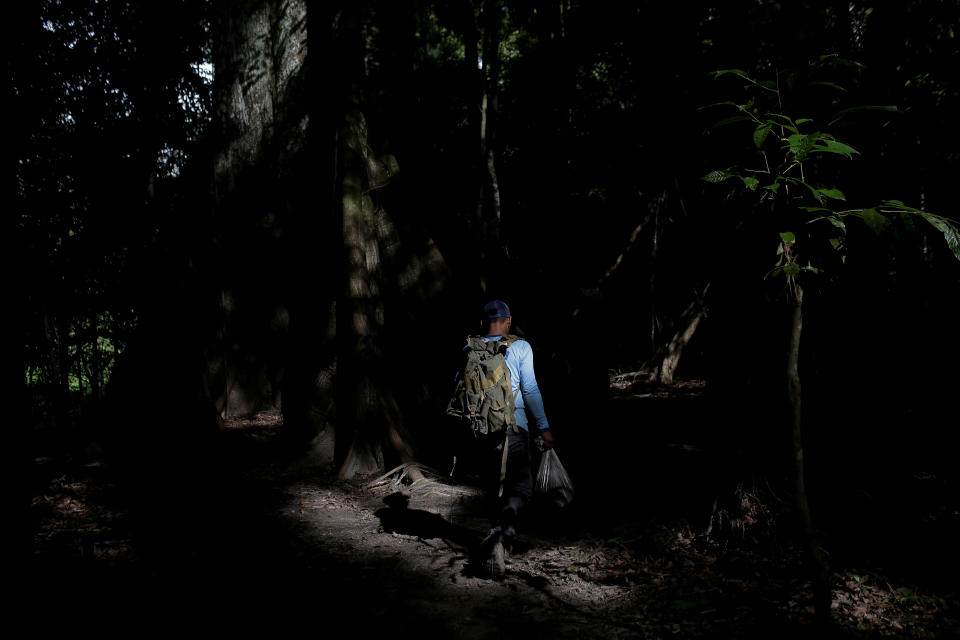 <p>Research assistant Railgler dos Santos from the Mamiraua Institute installs traps to catch jaguars at the Mamiraua Sustainable Development Reserve in Uarini, Amazonas state, Brazil Jan. 22, 2018. (Photo: Bruno Kelly/Reuters) </p>