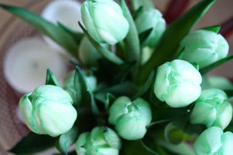 Green Tulips