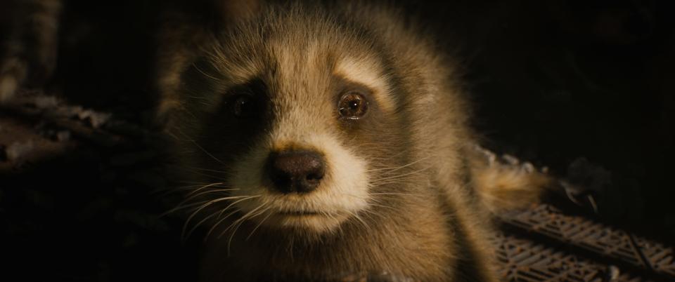 Baby Rocket cowers from a cruel hand in Marvel's "Guardians of the Galaxy Vol. 3."