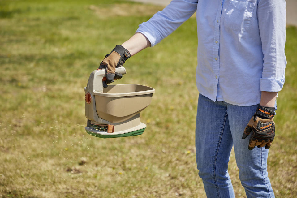 Woman uses handheld seed spreader to distribute seeds while overseeding a lawn.