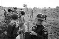 Caption from LIFE. "Cub Scout Tony Talbot (10) ... from Canoga Park joins a potted-plant brigade to help restore Los Angeles's Lime Kiln Canyon Park, ravaged last year by fire." (John Shearer—Time & Life Pictures/Getty Images) <br> <br> <a href="http://life.time.com/culture/boy-scouts-photos-from-a-time-of-change-1971/?iid=lb-gal-viewagn#1" rel="nofollow noopener" target="_blank" data-ylk="slk:Click here to see the full collection at LIFE.com;elm:context_link;itc:0;sec:content-canvas" class="link ">Click here to see the full collection at LIFE.com</a>