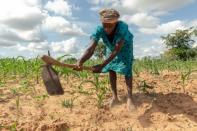 A year ago, Josephine Ganye was hit by a devastating cyclone -- now she is struggling with a crippling drought