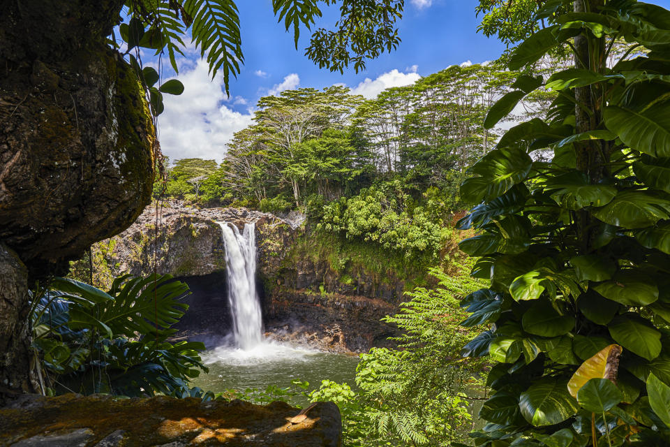Waterfall in Hilo, Hawaii.