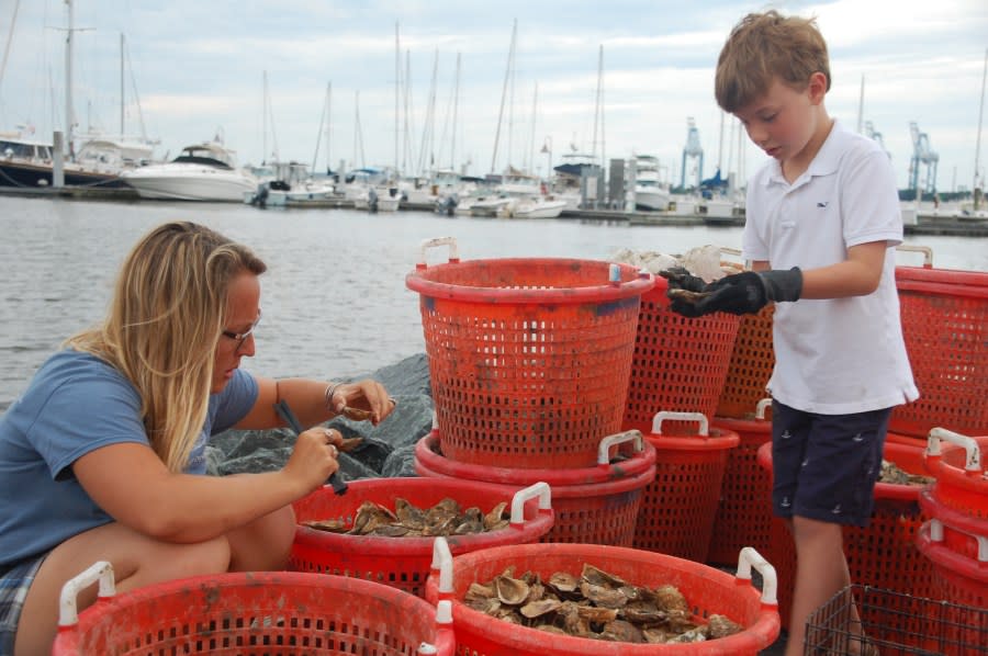 <em>Heather North of CBF and Graham Mitchell pick out oyster spat for Mitchell to raise</em>. (<em>Photo courtesy</em> <em>Kenny Fletcher/Chesapeake Bay Foundation</em>)