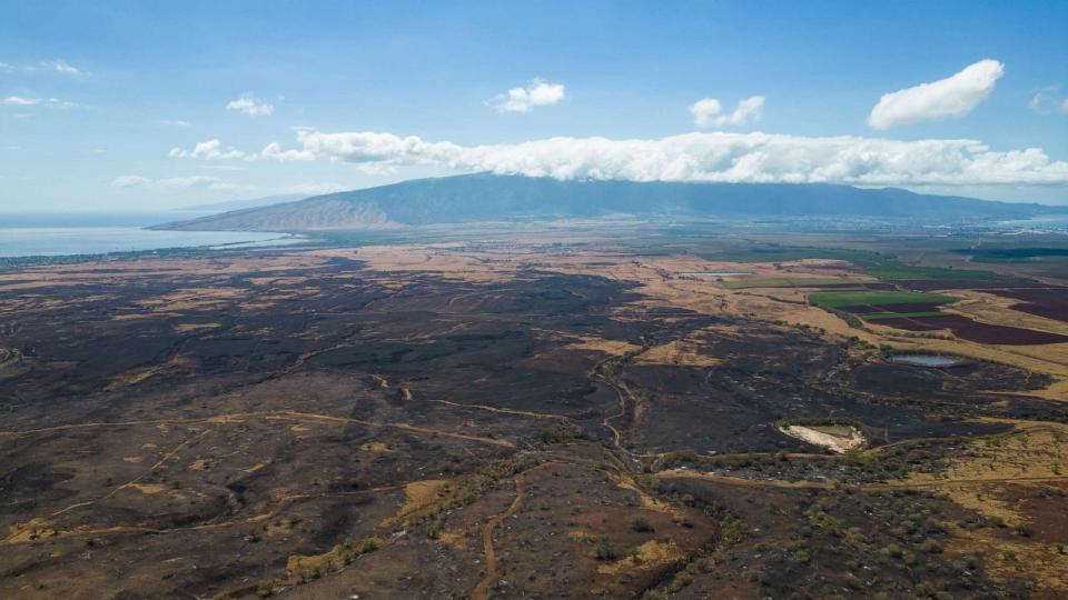 PHOTO: Imagery from Haleakala Ranch shows the burn scar of the Pulehu fire. (ABC News)