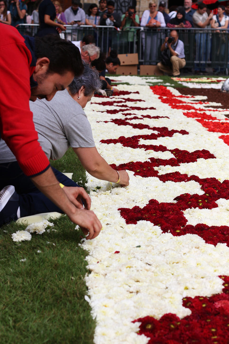 FOTOS | México protagoniza tradicional alfombra floral gigante de Bruselas