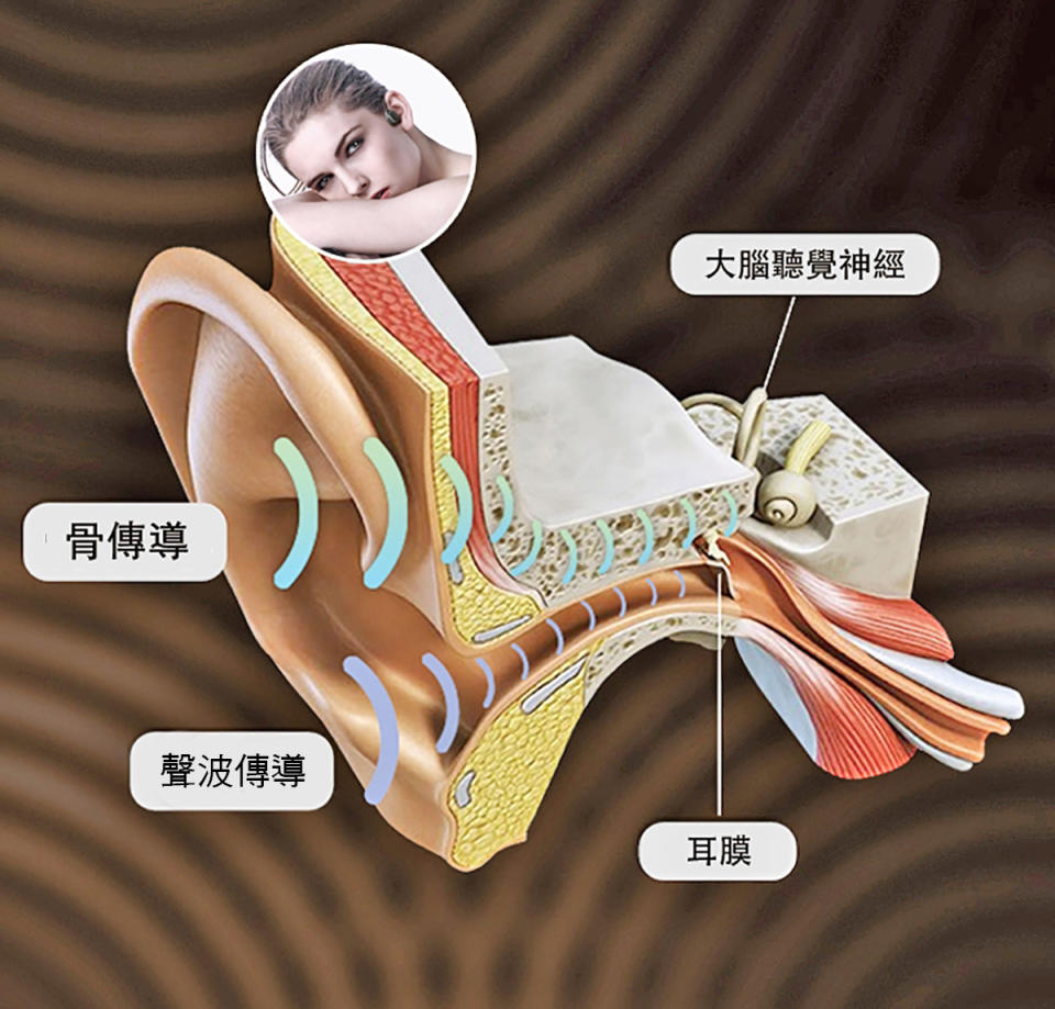 骨傳導透過顱骨、聽骨來傳遞聲音，是人類聽覺的第二管道，要好好利用這個與生俱來的能力