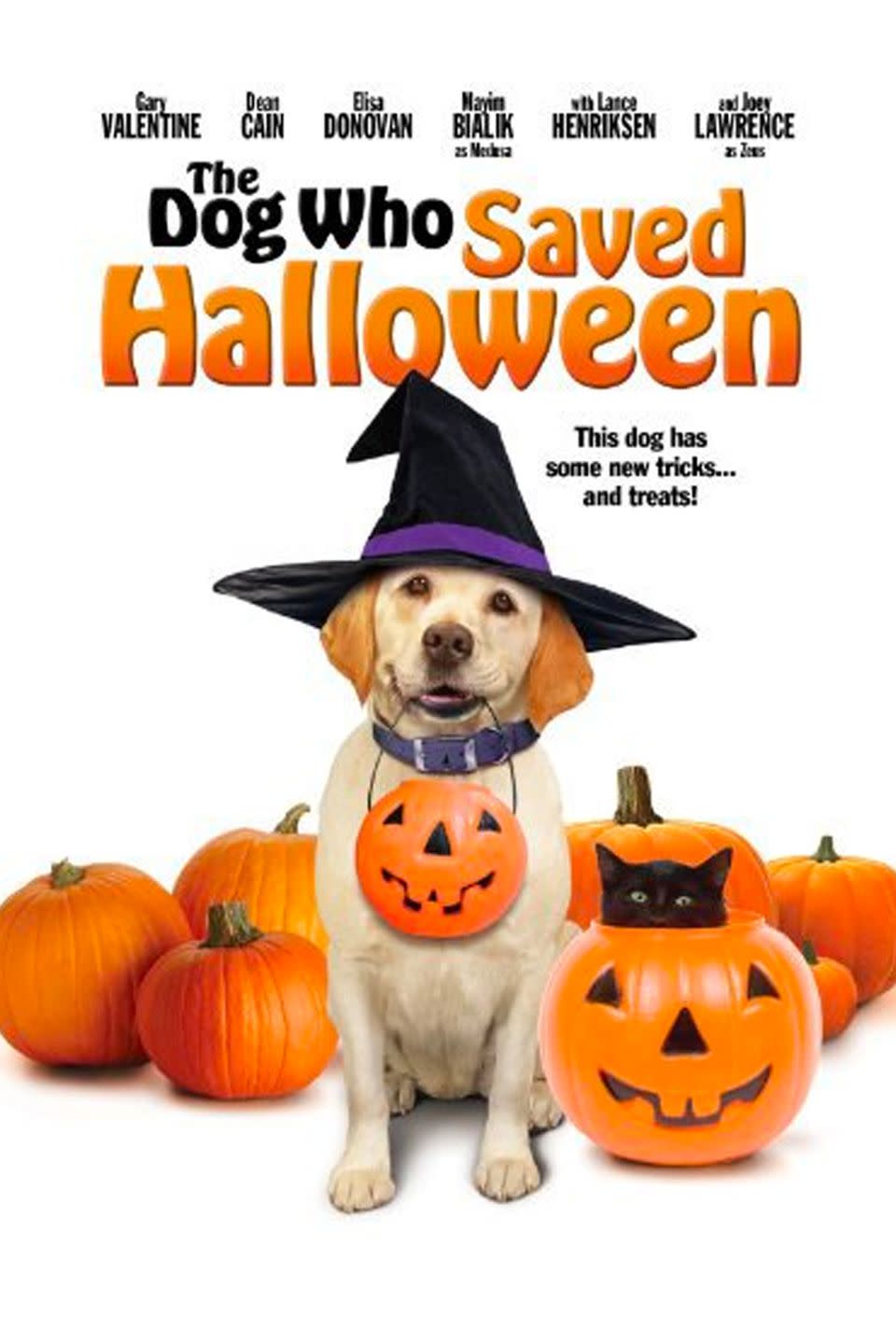 THE DOG WHO SAVED HALLOWEEN