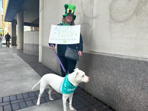 Figgy and Teresa Jeffery stand on the sidewalk along the St. Patrick's Day Parade. Jeffery is part of a group called Greece Residents For Strays and she hopes someone will see her sign and adopt Figgy.