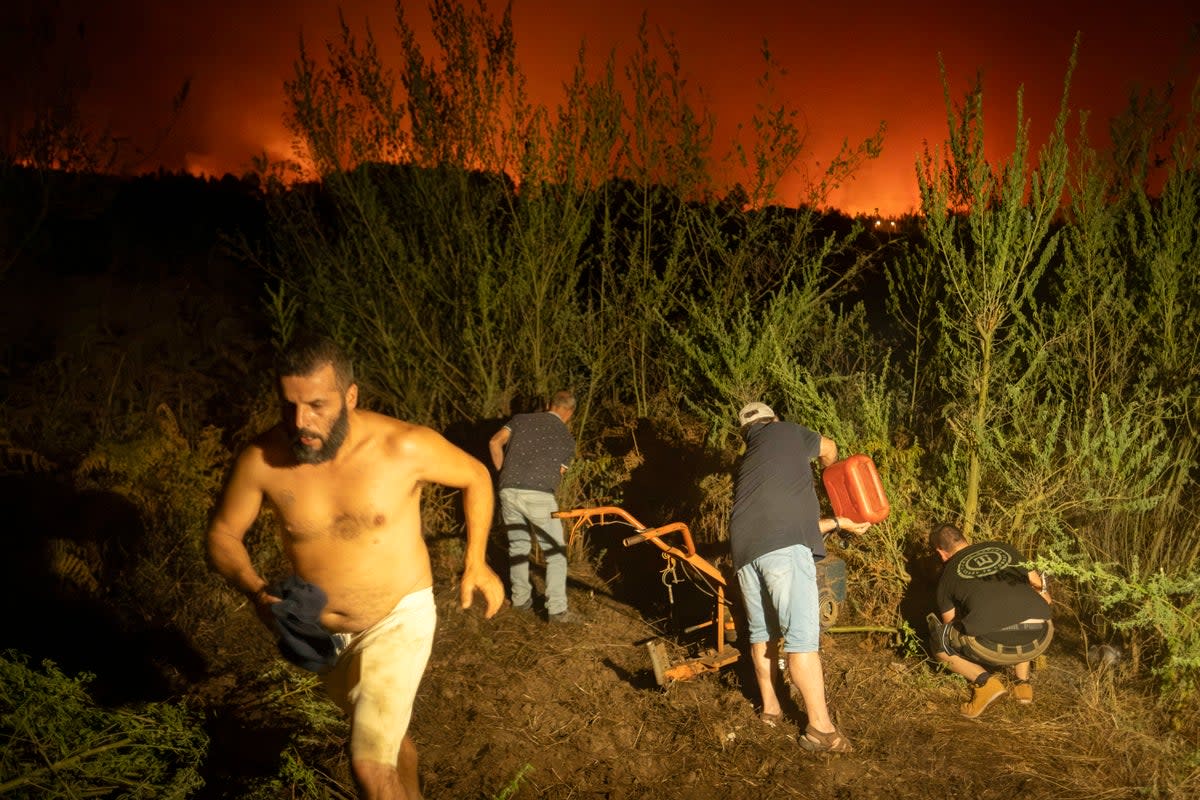 Local residents try to clean the forest to prevent it from flames as fire advances in La Orotava in Tenerife on Saturday (Copyright 2023 The Associated Press. All rights reserved.)