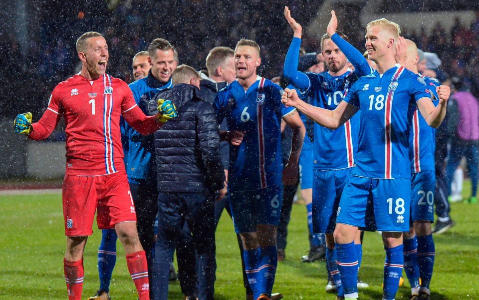 Hordur Magnusson (far right) was part of the Iceland team that knocked England out of Euro 2016 - AFP