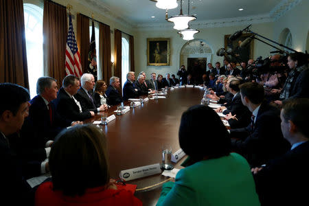 U.S. President Donald Trump holds a bipartisan meeting with legislators on immigration reform at the White House in Washington, U.S. January 9, 2018. REUTERS/Jonathan Ernst