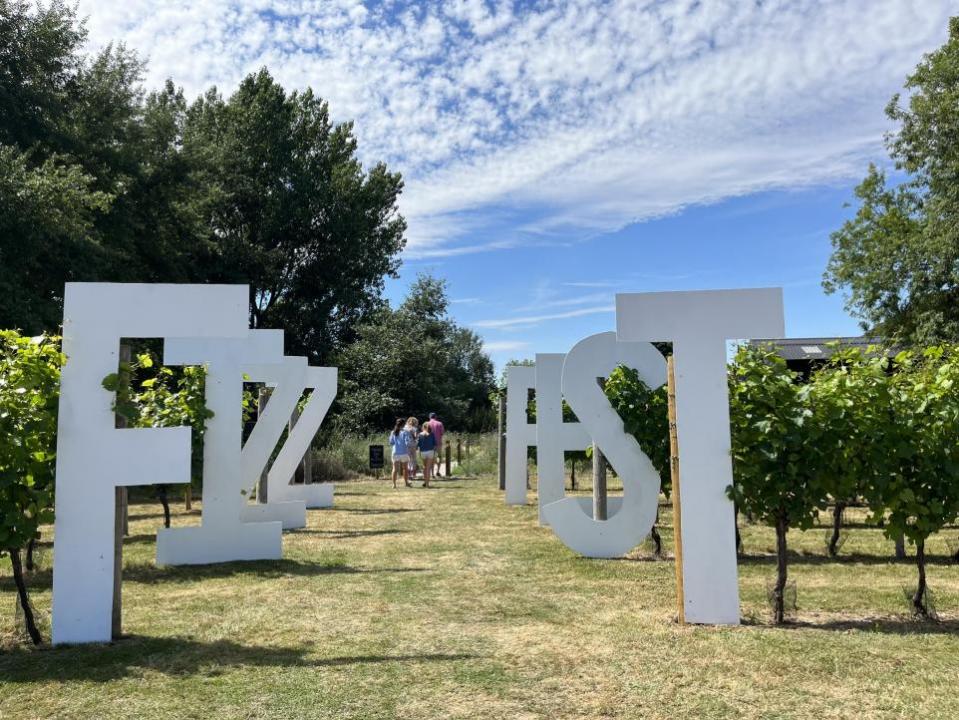 Daily Echo: Fizz Fest 2023 se llevará a cabo en julio