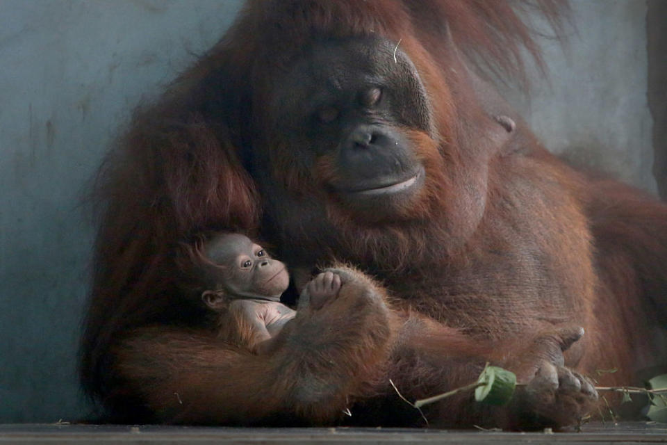 Mother and baby