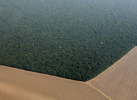 FILE PHOTO: An aerial view shows the Amazon rainforest (top) bordered by land cleared to prepare for the planting of soybeans, in Mato Grosso state, western Brazil, October 2, 2015. REUTERS/Paulo Whitaker/File Photo