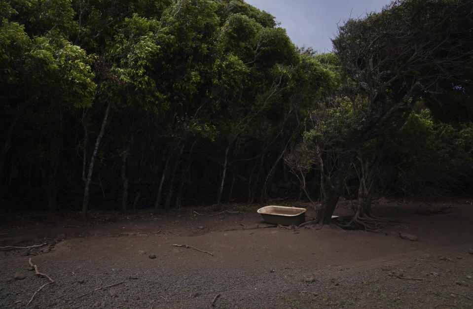 A former animal trough sits full of water on the side of a dirt road running across Kalaupapa, Hawaii, on Tuesday, July 18, 2023. In the 1800s, Kalaupapa was a settlement for banished leprosy patients, later called Hansen's disease. (AP Photo/Jessie Wardarski)