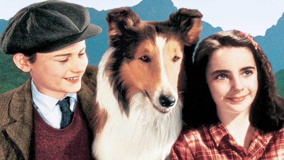 'Lassie Comes Home'. (Credit: MGM)