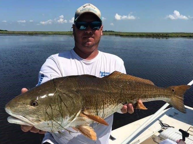Capt. Billy Pettigrew can still manage to find some seagrass where a redfish is hiding, but it's getting harder and harder.